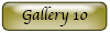 gallery button 10