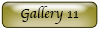 gallery button 11