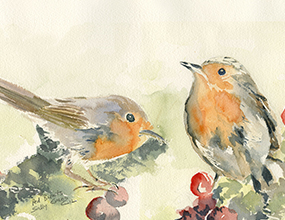 greeting card 1