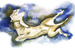 Image 1-2