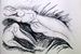 Image 1-1