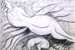 Image 1-1