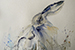 Image 1-1