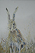 Image 1-4